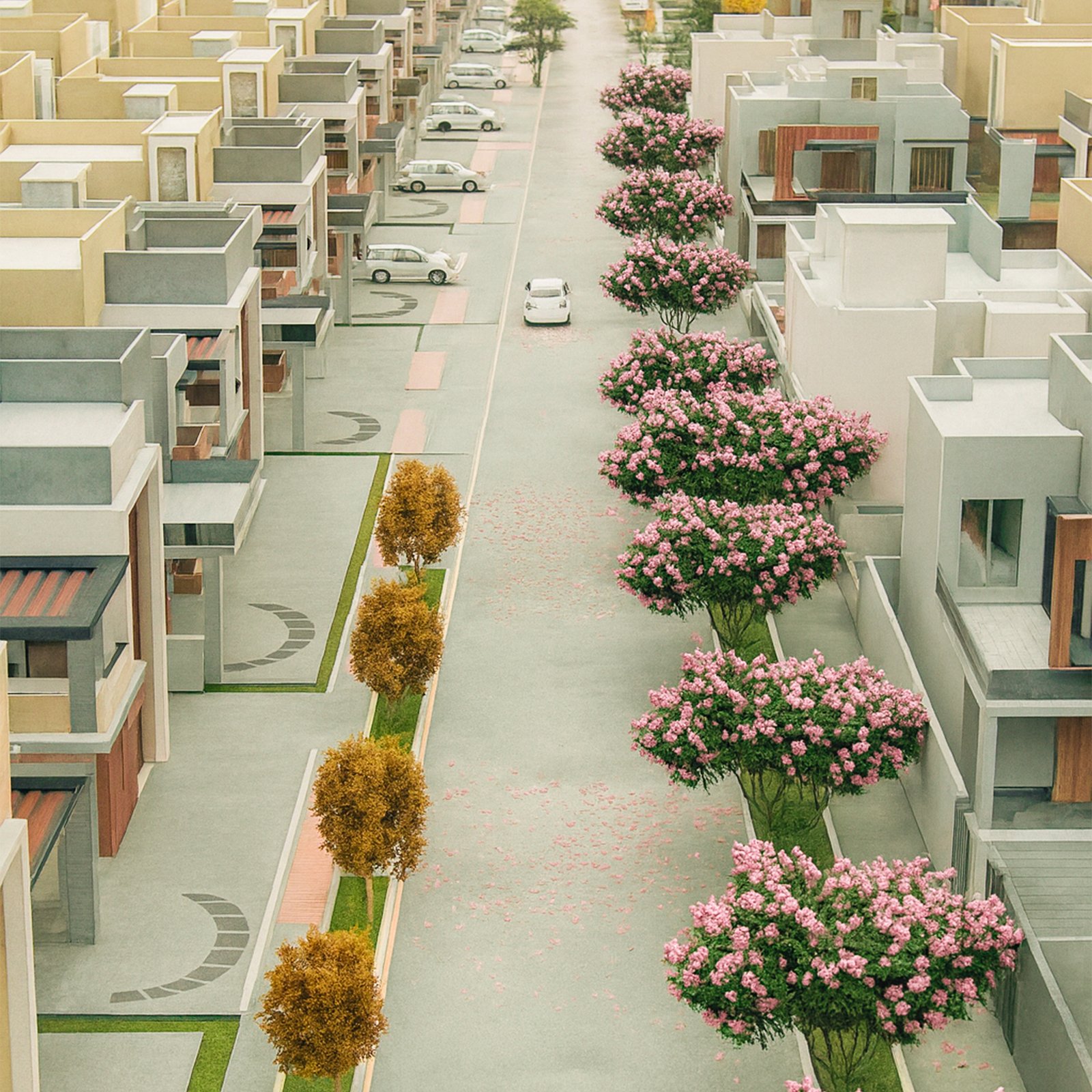Gated Community